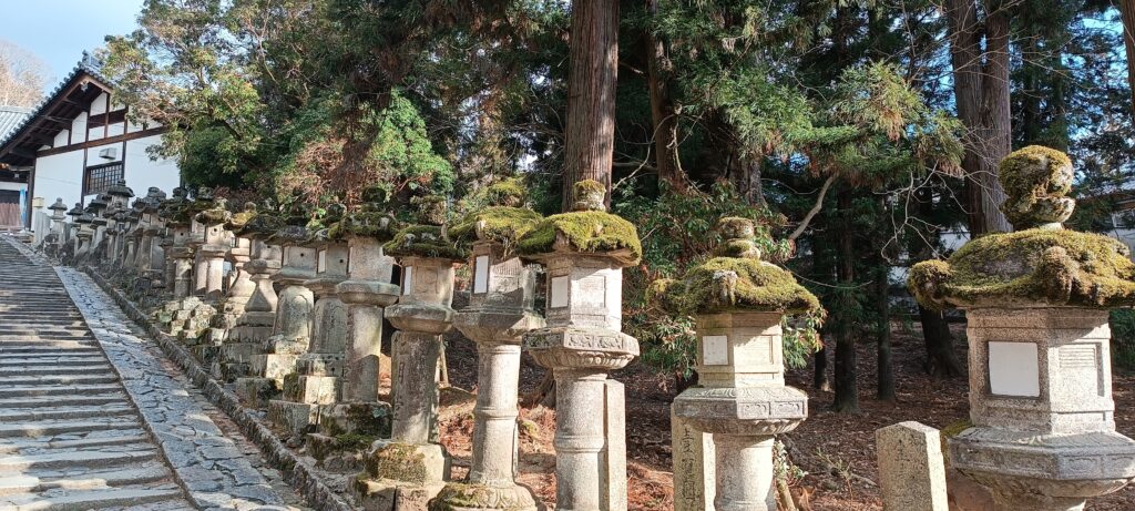 Paysage de Nara, pour illustrer budget voyage japon
