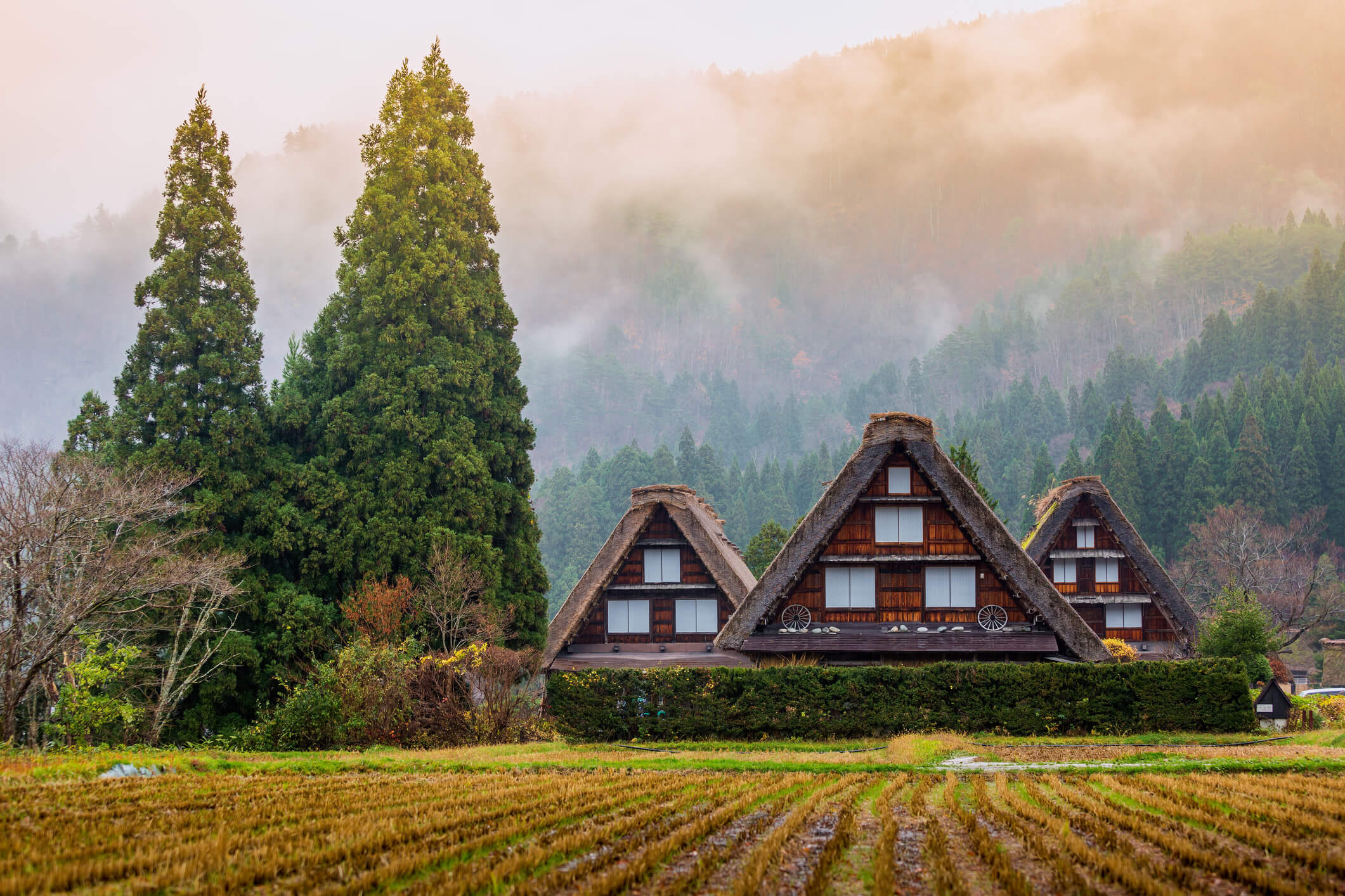 Japon, destination où partir en Octobre.