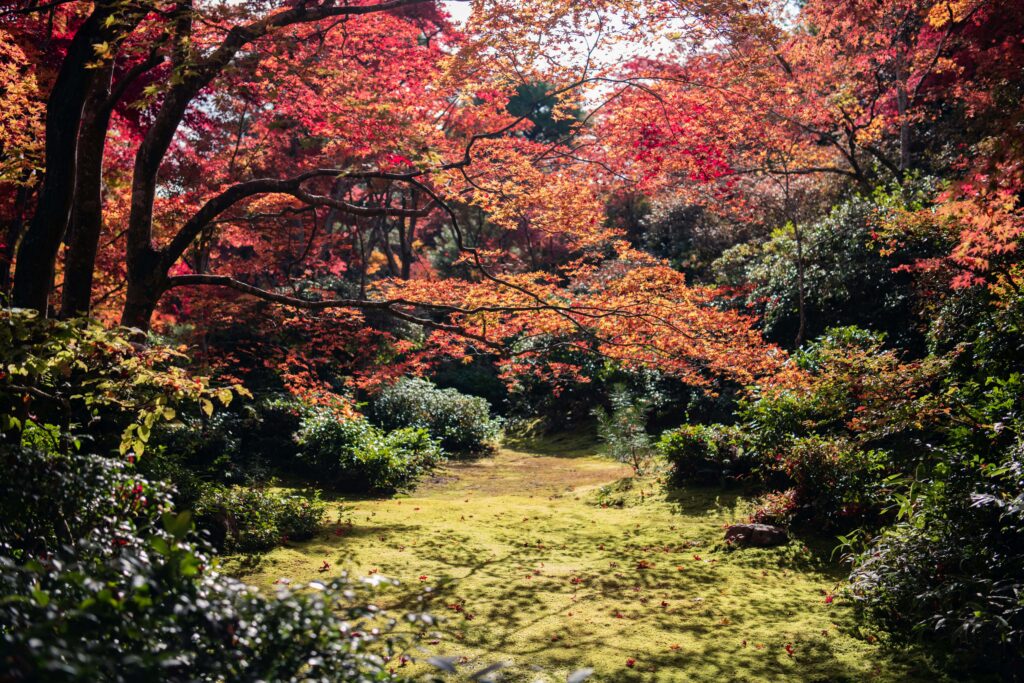 L'automne à Kyoto, pour savoir quand partir au Japon.
