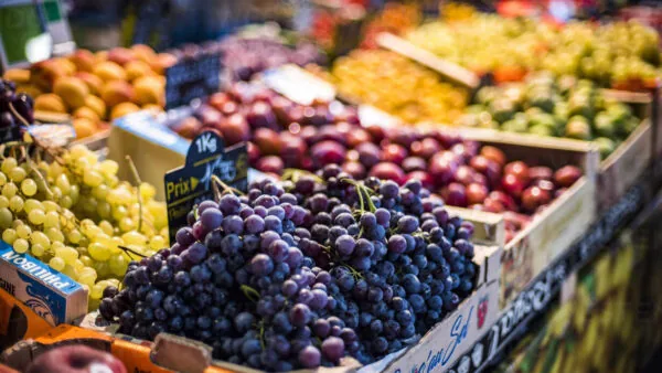7 marchés de Provence à visiter absolument : couleurs, parfums et traditions du Sud