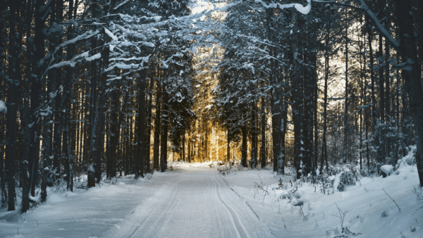 Où partir en janvier : 15 destinations pour bien commencer l’année