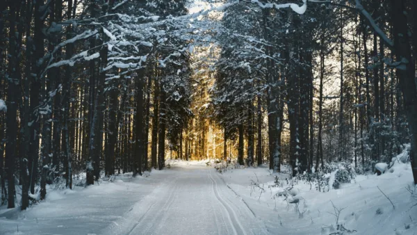 Où partir en janvier : 15 destinations pour bien commencer l’année