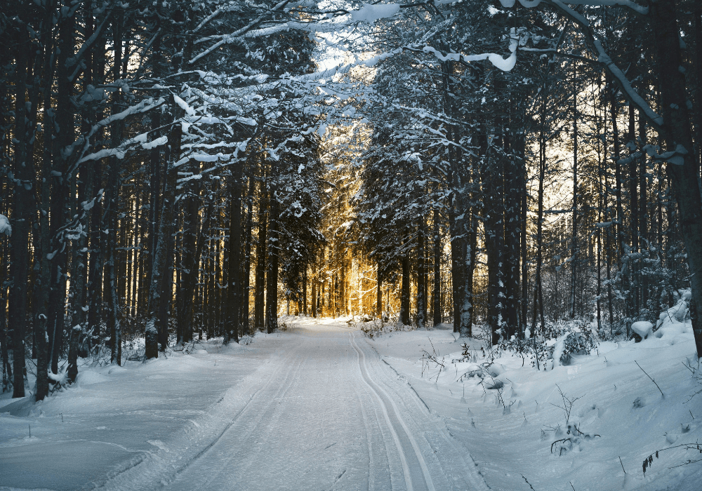 Où partir en janvier : 15 destinations pour bien commencer l’année