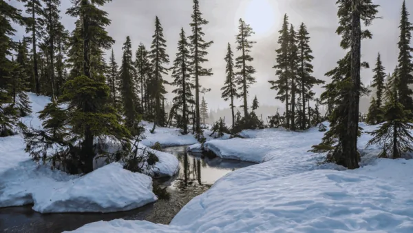 Où partir en février : 15 destinations pour profiter de l’hiver autrement