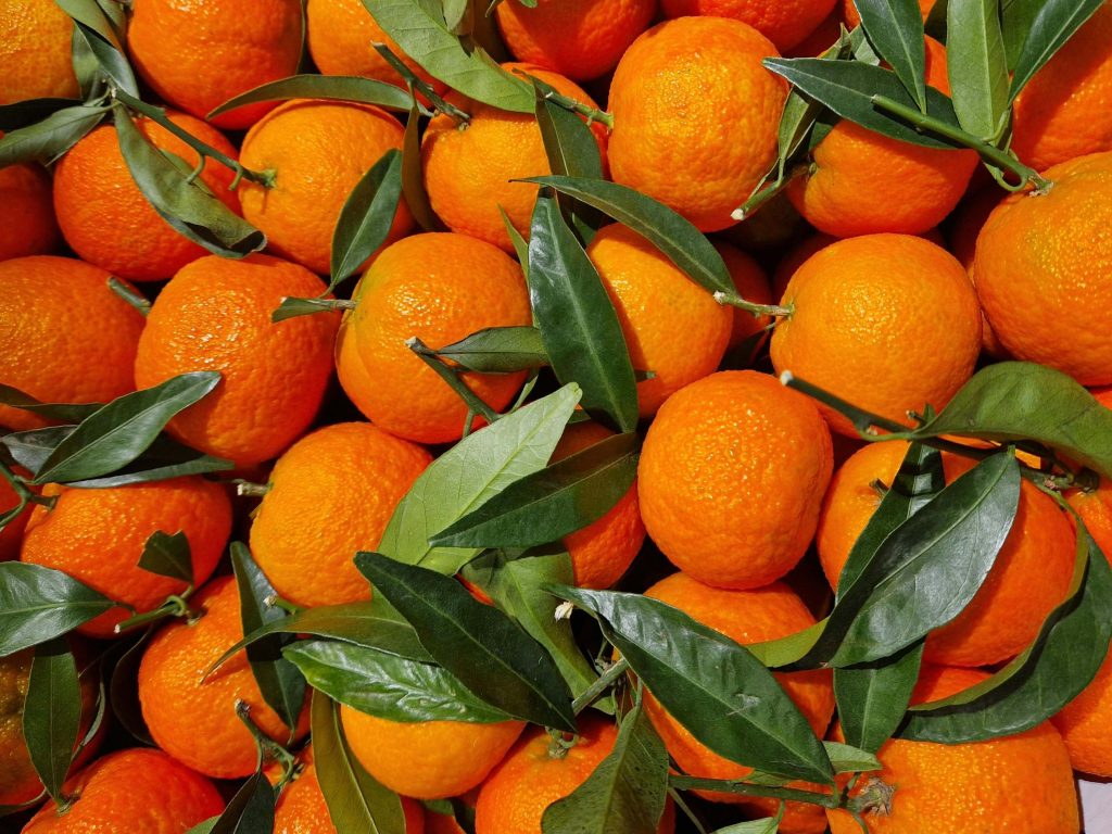 clémentines corses à retrouver dans les marchés de noël en corse.