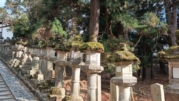 Itinéraire Japon 10 jours : le circuit idéal pour un premier voyage