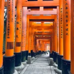 Voyage au Japon en famille : nos conseils et activités pour un séjour réussi