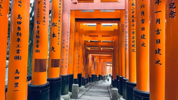 Voyage au Japon en famille : nos conseils et activités pour un séjour réussi