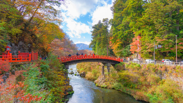 Excursion à Nikko : que voir en 1 jour depuis Tokyo
