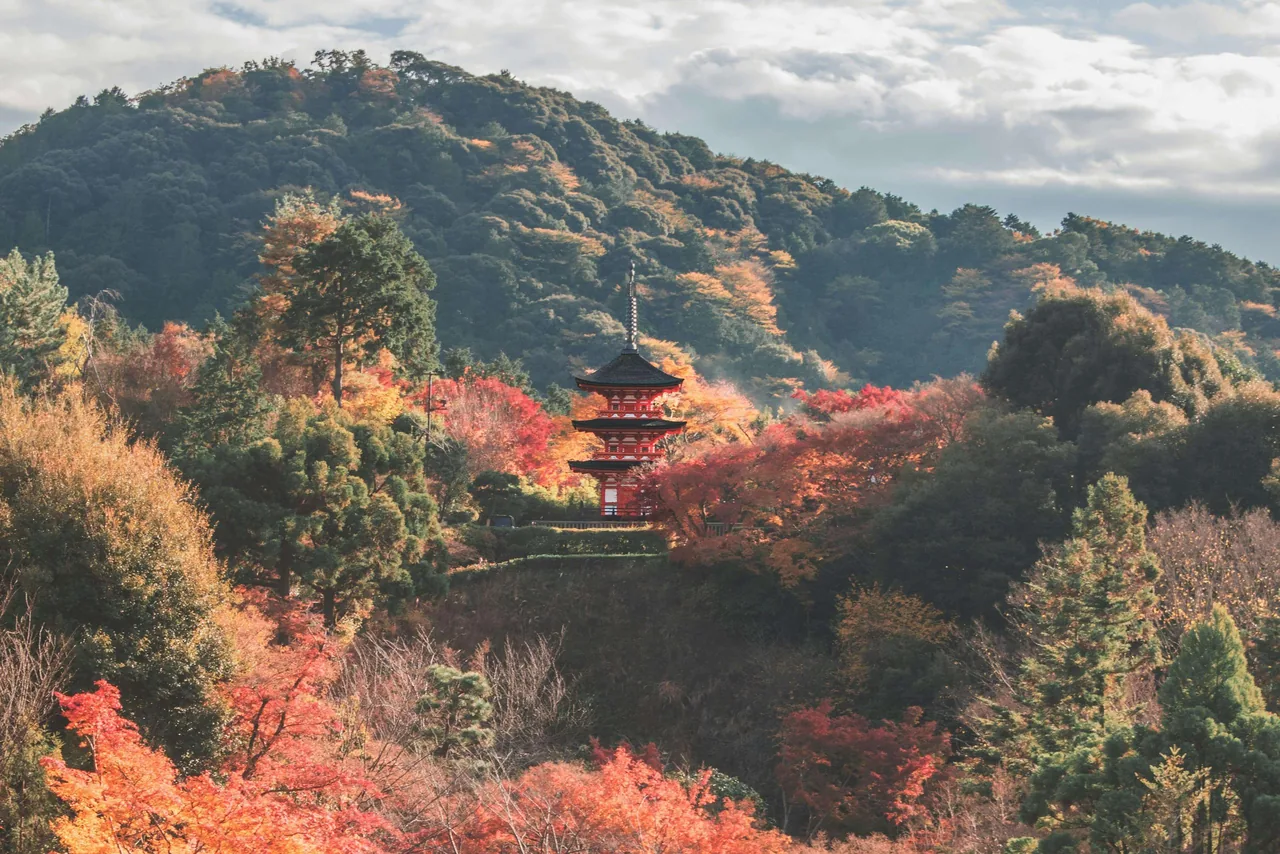 Koyo, le japon en automne. 