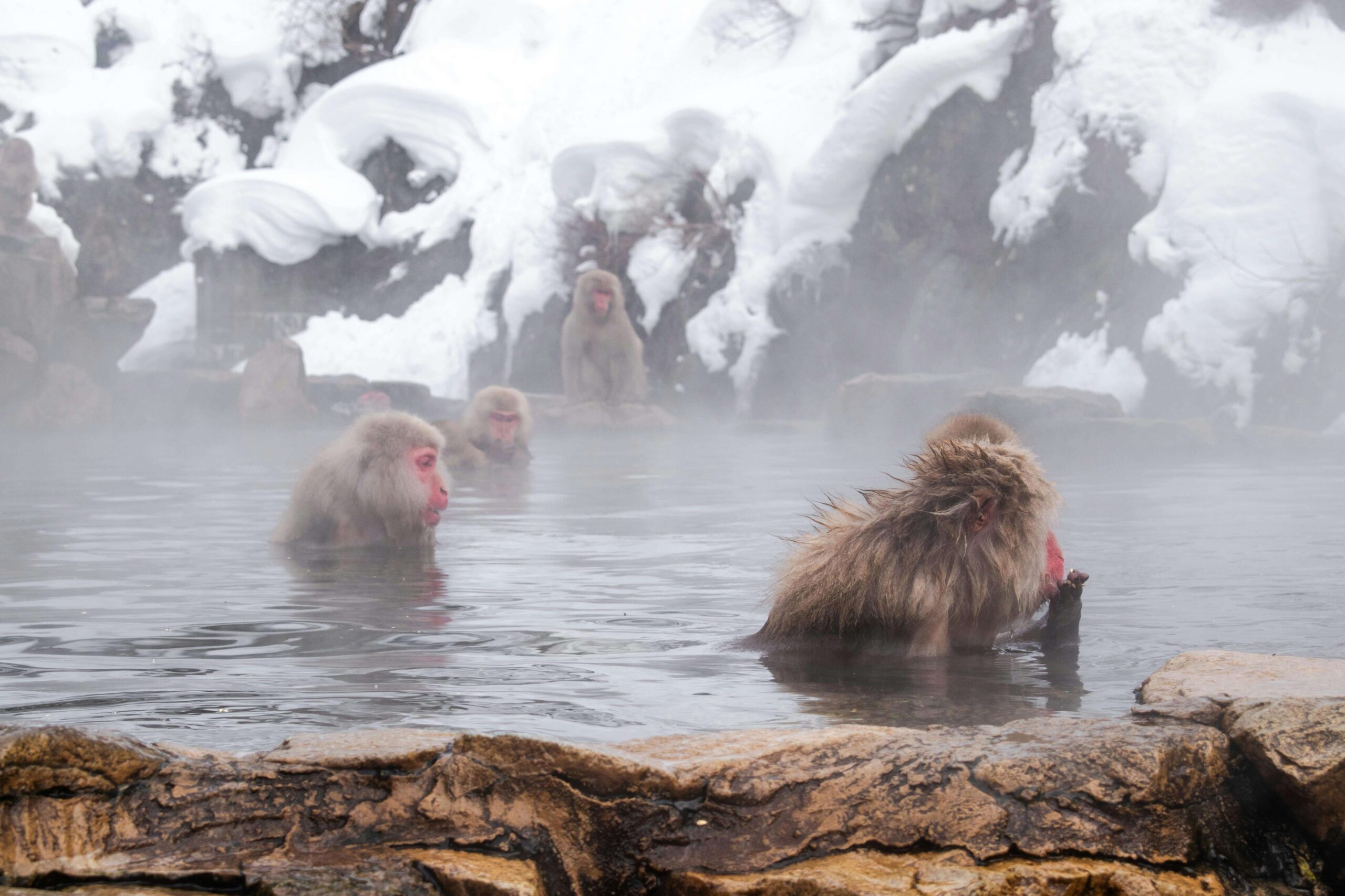 Onsen au Japon : notre guide complet pour les débutants