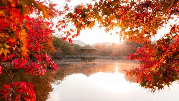 Japon en automne : koyo, destinations et nos conseils pratiques