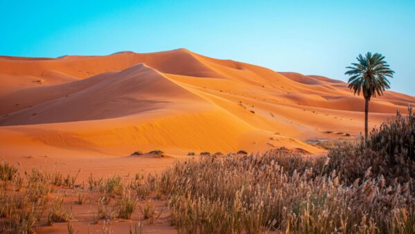 Maroc