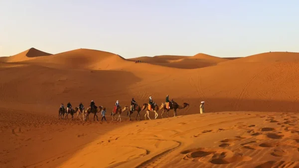 Maroc en novembre : que faire et où aller ?