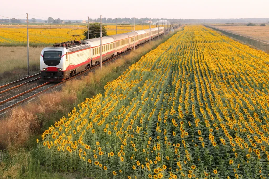 Se déplacer en Italie en train : vue du train à travers les champs. 